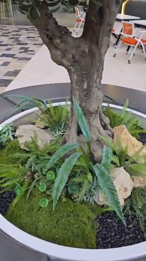 Al Araimi Boulevard - Video 15